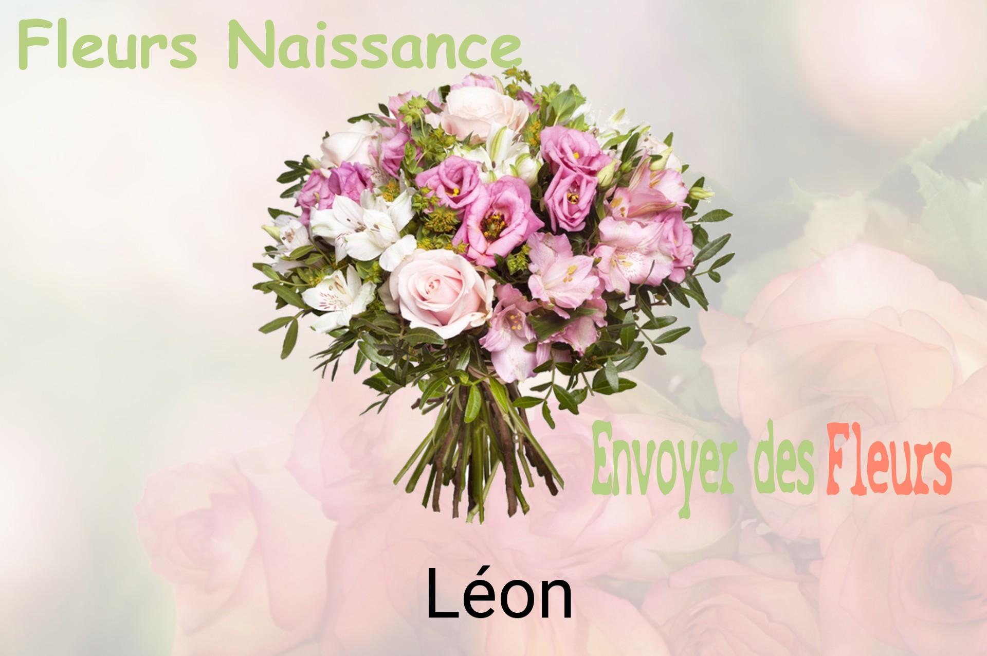 Bouquet de fleurs de naissance livré à Léon