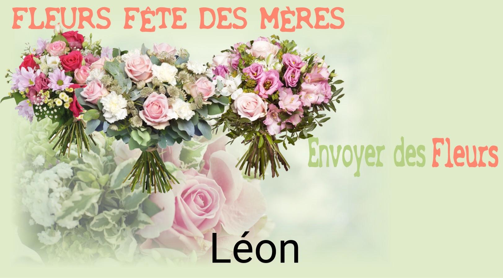 Bouquet de Fête des Mères livré à Léon